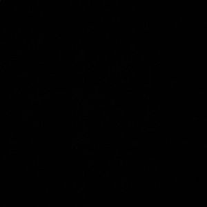 Meet your Posher, Regina